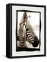 Zebra in the Mirror 2-Theo Westenberger-Framed Stretched Canvas