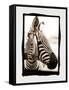 Zebra in the Mirror 2-Theo Westenberger-Framed Stretched Canvas