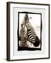 Zebra in the Mirror 2-Theo Westenberger-Framed Photographic Print