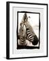 Zebra in the Mirror 2-Theo Westenberger-Framed Photographic Print