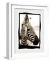 Zebra in the Mirror 2-Theo Westenberger-Framed Photographic Print