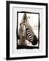 Zebra in the Mirror 2-Theo Westenberger-Framed Photographic Print