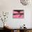 Zebra Longwing-Adam Jones-Photographic Print displayed on a wall