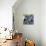 Zebra Love-Cherie Roe Dirksen-Giclee Print displayed on a wall