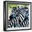Zebra Love-Cherie Roe Dirksen-Framed Giclee Print