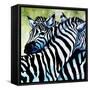 Zebra Love-Cherie Roe Dirksen-Framed Stretched Canvas