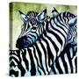 Zebra Love-Cherie Roe Dirksen-Stretched Canvas