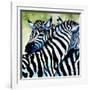 Zebra Love-Cherie Roe Dirksen-Framed Giclee Print