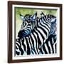 Zebra Love-Cherie Roe Dirksen-Framed Giclee Print