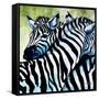 Zebra Love-Cherie Roe Dirksen-Framed Stretched Canvas