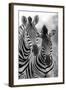 Zebra Mare and Foal Standing close Together in Bush for Safety Artistic Concersion-Alta Oosthuizen-Framed Photographic Print