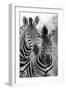 Zebra Mare and Foal Standing close Together in Bush for Safety Artistic Concersion-Alta Oosthuizen-Framed Photographic Print