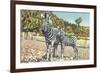 Zebra Mother and Colt-null-Framed Premium Giclee Print