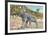 Zebra Mother and Colt-null-Framed Premium Giclee Print