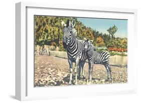 Zebra Mother and Colt-null-Framed Art Print