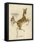 Zebra Mother and Young-null-Framed Stretched Canvas
