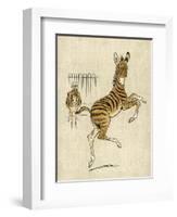 Zebra Mother and Young-null-Framed Art Print