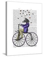 Zebra on Bicycle-Fab Funky-Stretched Canvas