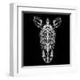 Zebra on Black-Lisa Kroll-Framed Art Print