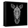 Zebra on Black-Lisa Kroll-Framed Stretched Canvas