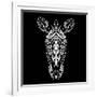 Zebra on Black-Lisa Kroll-Framed Art Print
