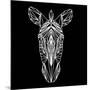 Zebra on Black-Lisa Kroll-Mounted Art Print