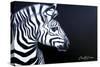 Zebra on Black-Cherie Roe Dirksen-Stretched Canvas