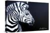 Zebra on Black-Cherie Roe Dirksen-Stretched Canvas