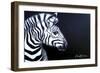 Zebra on Black-Cherie Roe Dirksen-Framed Giclee Print