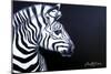 Zebra on Black-Cherie Roe Dirksen-Mounted Giclee Print