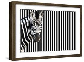 Zebra on Striped Background, Looking at Camera-null-Framed Photo