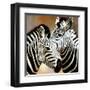 Zebra Pair-Arcobaleno-Framed Art Print