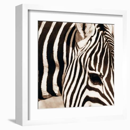 Zebra Pattern-Frank & Susann Parker-Framed Art Print