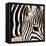 Zebra Pattern-Frank & Susann Parker-Framed Stretched Canvas