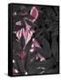 Zebra, Pink in Black Leaves-Fab Funky-Framed Stretched Canvas