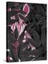 Zebra, Pink in Black Leaves-Fab Funky-Stretched Canvas