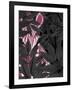 Zebra, Pink in Black Leaves-Fab Funky-Framed Art Print