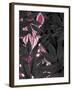 Zebra, Pink in Black Leaves-Fab Funky-Framed Art Print