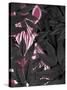 Zebra, Pink in Black Leaves-Fab Funky-Stretched Canvas