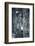 Zebra Portrait-prochasson-Framed Photographic Print