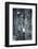 Zebra Portrait-prochasson-Framed Photographic Print