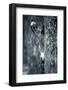 Zebra Portrait-prochasson-Framed Photographic Print