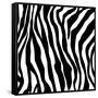 Zebra Print-sjgh-Framed Stretched Canvas