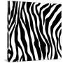 Zebra Print-sjgh-Stretched Canvas