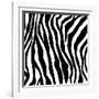 Zebra Print-sjgh-Framed Art Print