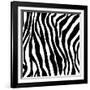 Zebra Print-sjgh-Framed Art Print