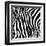 Zebra Print-sjgh-Framed Art Print