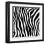 Zebra Print-sjgh-Framed Art Print