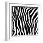 Zebra Print-sjgh-Framed Art Print