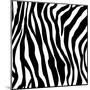 Zebra Print-sjgh-Mounted Art Print